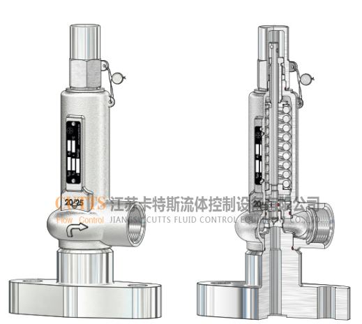 Typ 24  進口高壓法蘭安全溢流閥   (Niezgodka)的各項技術(shù)參數(shù)